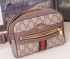 Gucci Bag 107